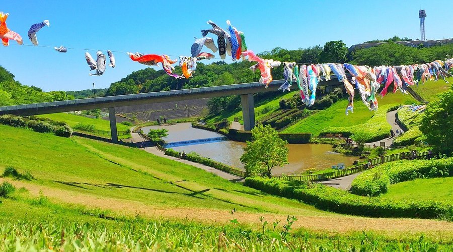 🏞️ 와카미야 공원 이미지 1